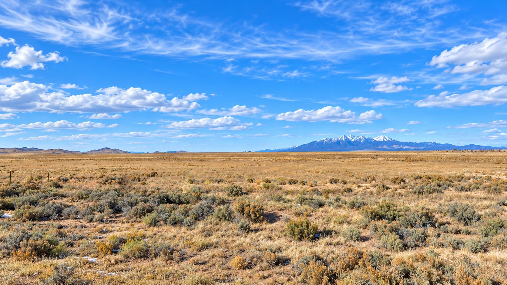 Colorado Freedom Acres