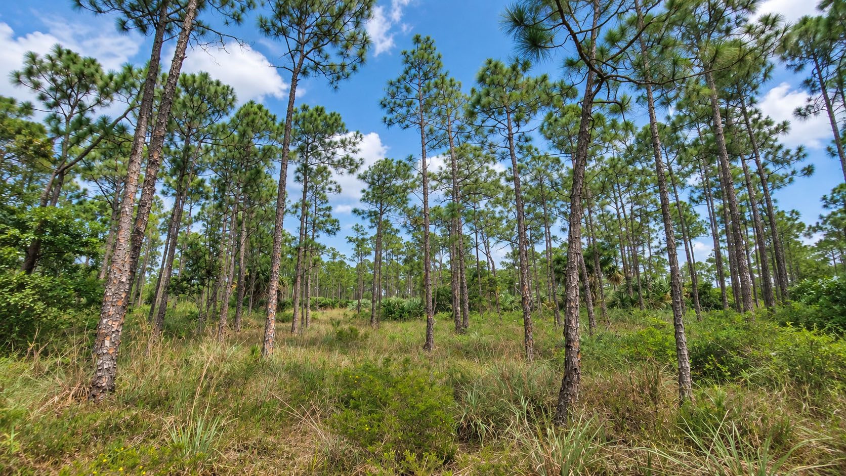 Florida Outdoor Getaway